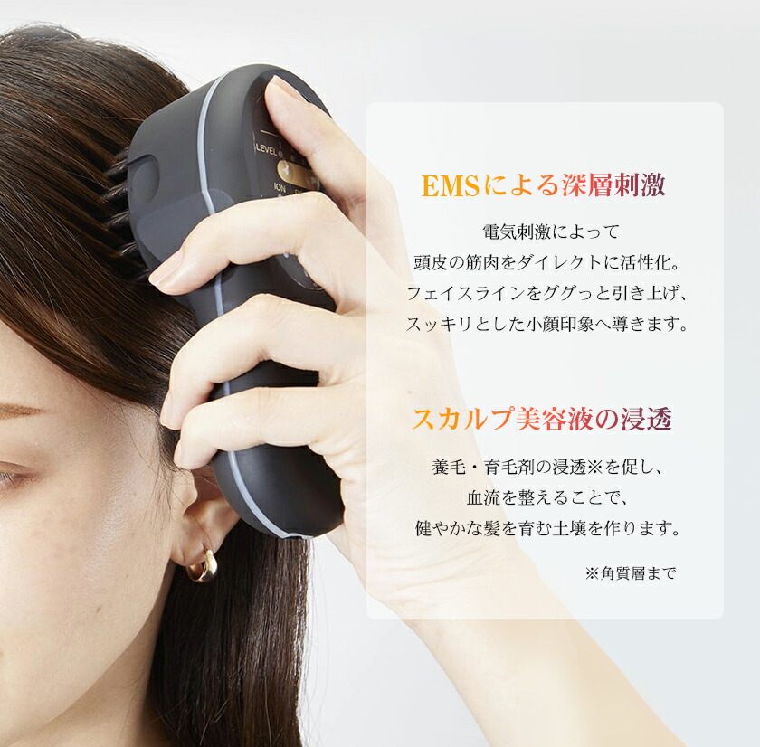 楽天市場】リモート納品研修付 日本製 エレクトロポレーション 美顔器