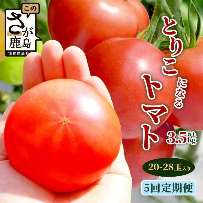楽天市場】【ふるさと納税】定期便 5回 トマト 3.5kg以上 とりこになる