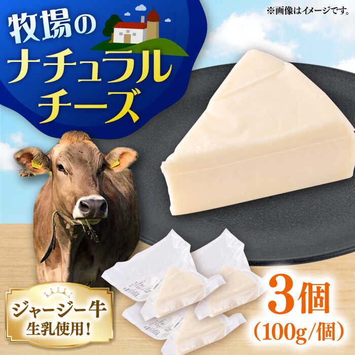 楽天市場】【ふるさと納税】チーズ ナチュラルチーズ 3個セット ちーず