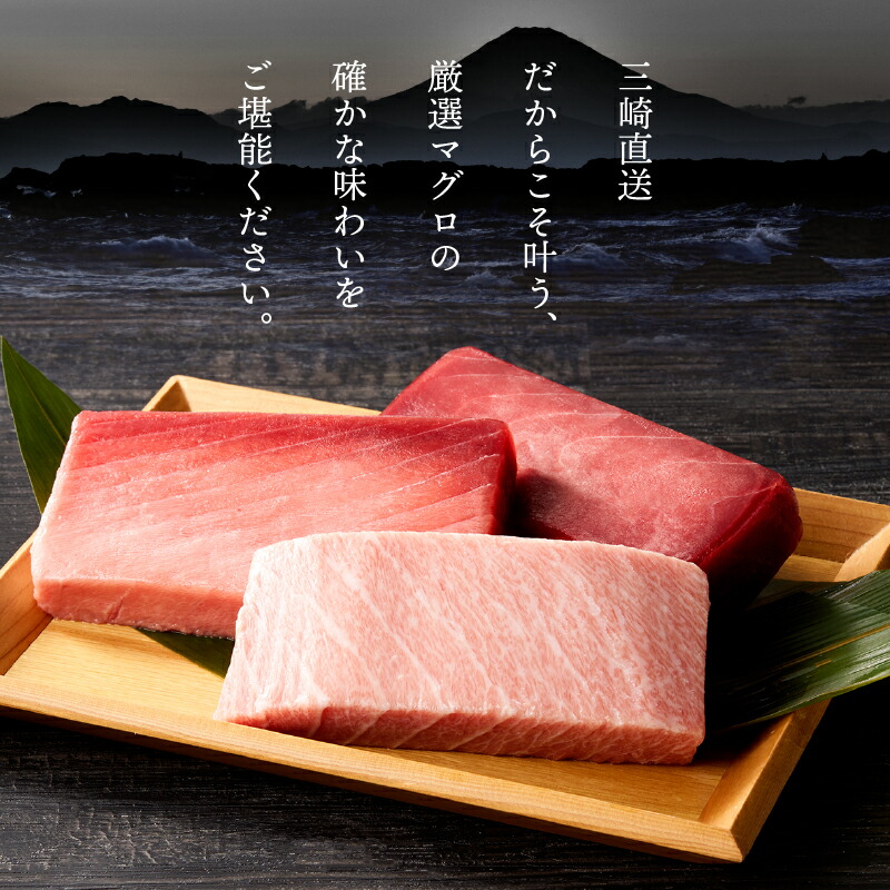 三崎マグロ 鈴木水産 天然インドマグロ 大トロ 中トロ 赤身 セット