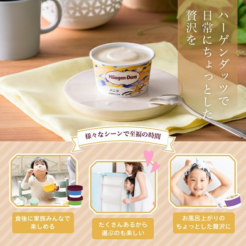 楽天市場】【ふるさと納税】ハーゲンダッツ パーティーセット／アイス