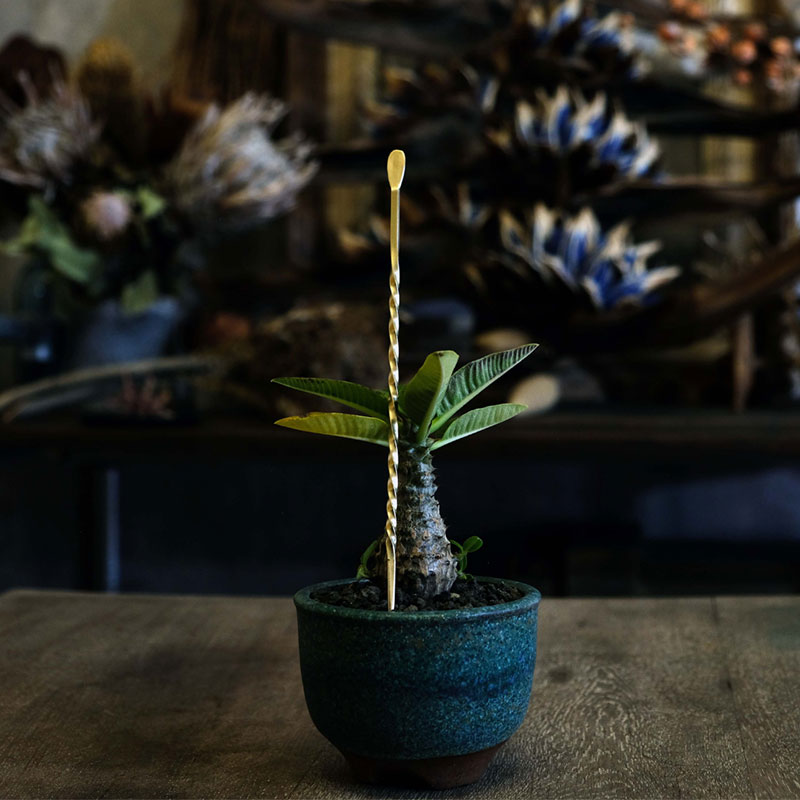 楽天市場】【ふるさと納税】メタルソイルスティックM／200mm 園芸 根