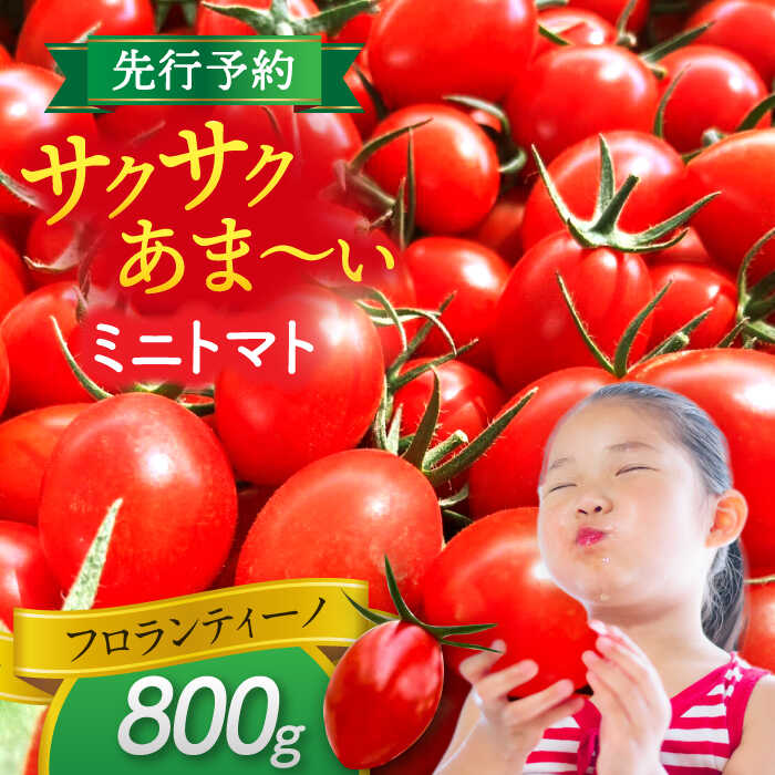 楽天市場】【ふるさと納税】 ミニトマト (フロランティーノ) 800g