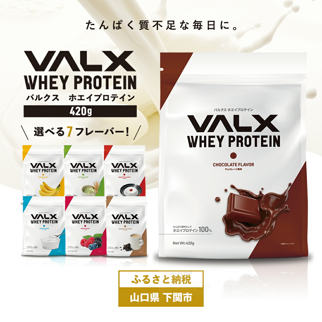 楽天市場】【ふるさと納税】 VALX ホエイ プロテイン 420g お試し