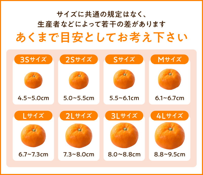楽天市場】【ふるさと納税】【2026年先行予約】和歌山県限定の極早生