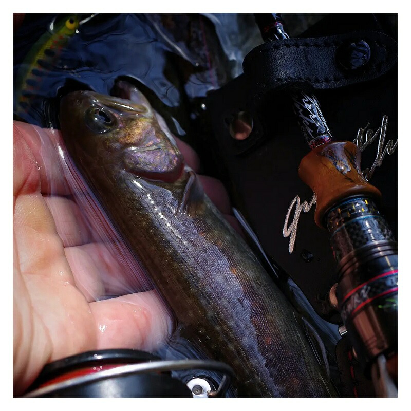 楽天市場】バリバス グラファイトワークス ハイパーイワナトゥイッ