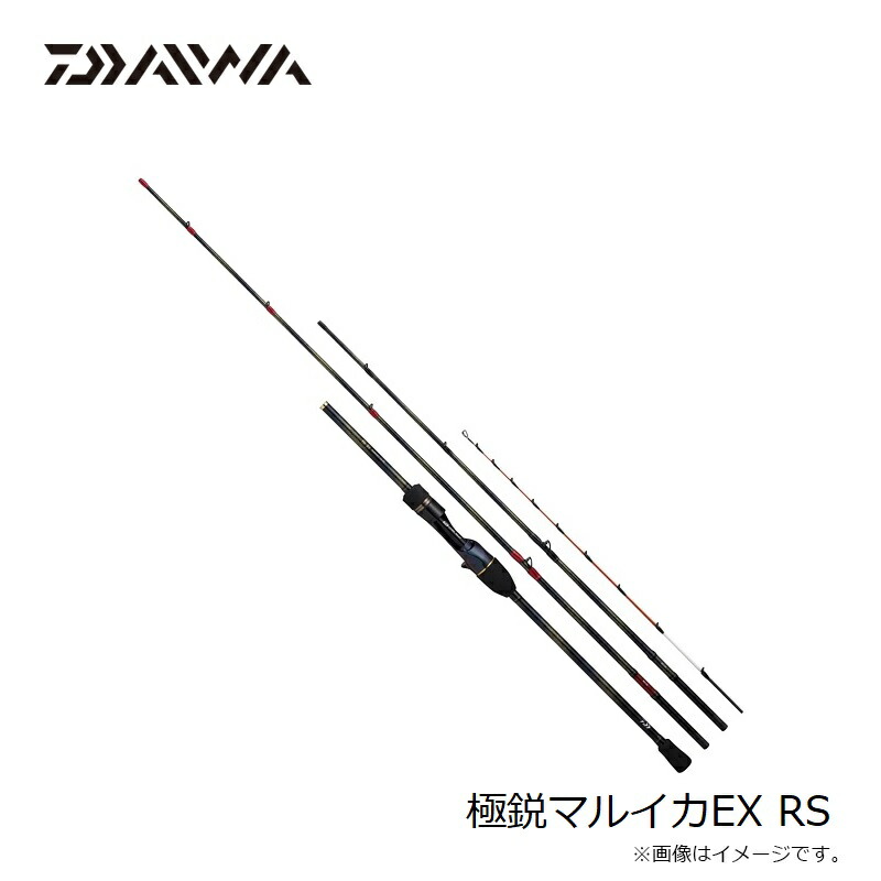 楽天市場】ダイワ 極鋭マルイカEX RS / 船 ロッド 竿 : 釣具のFTO