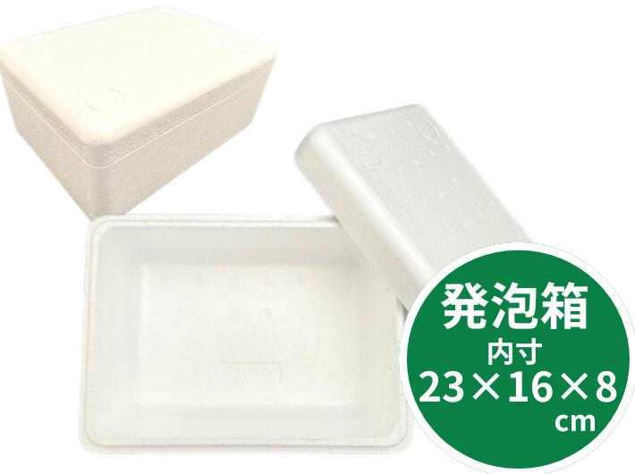 楽天市場】発泡ボックス TK-5 蓋付セット 保冷 ボックス 内寸230×160