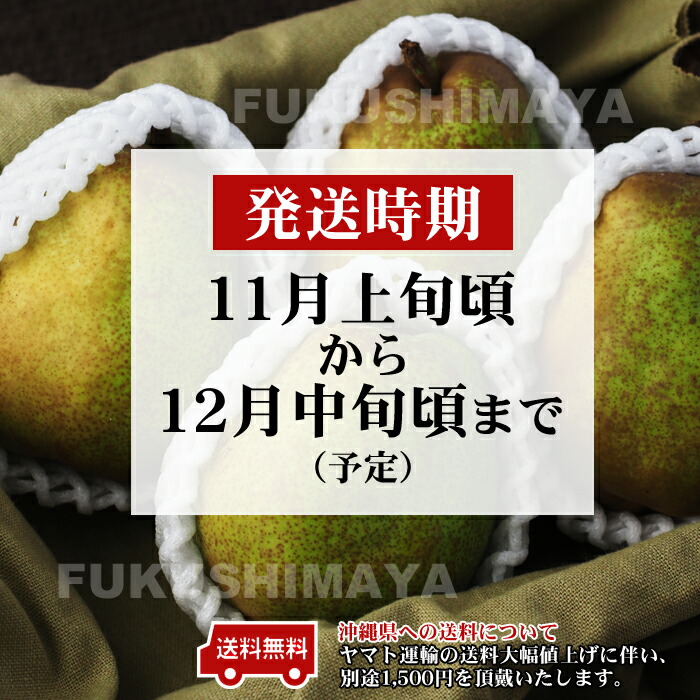 楽天市場】洋梨 ラ・フランス 約1kg（3〜6玉入）【発送時期：11月上旬