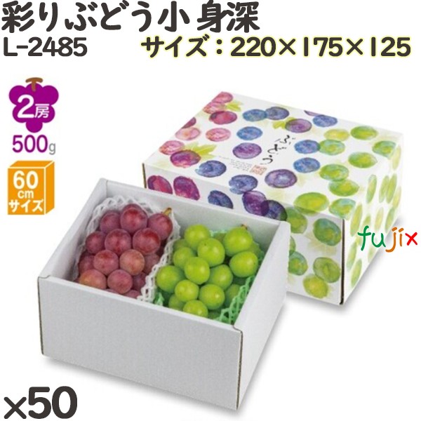 楽天市場】【ポイント5倍 要エントリー】ぶどう 化粧箱 L-2485 彩り