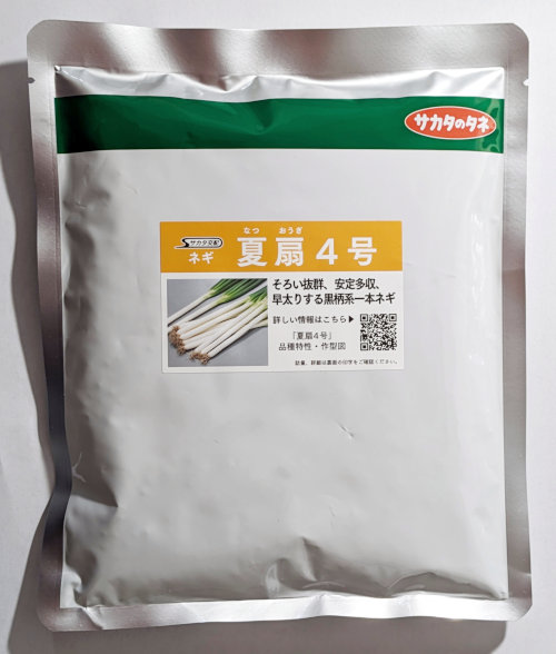 楽天市場】【サカタのタネ】夏扇4号一本ネギ コート6000粒 : 船木種苗店