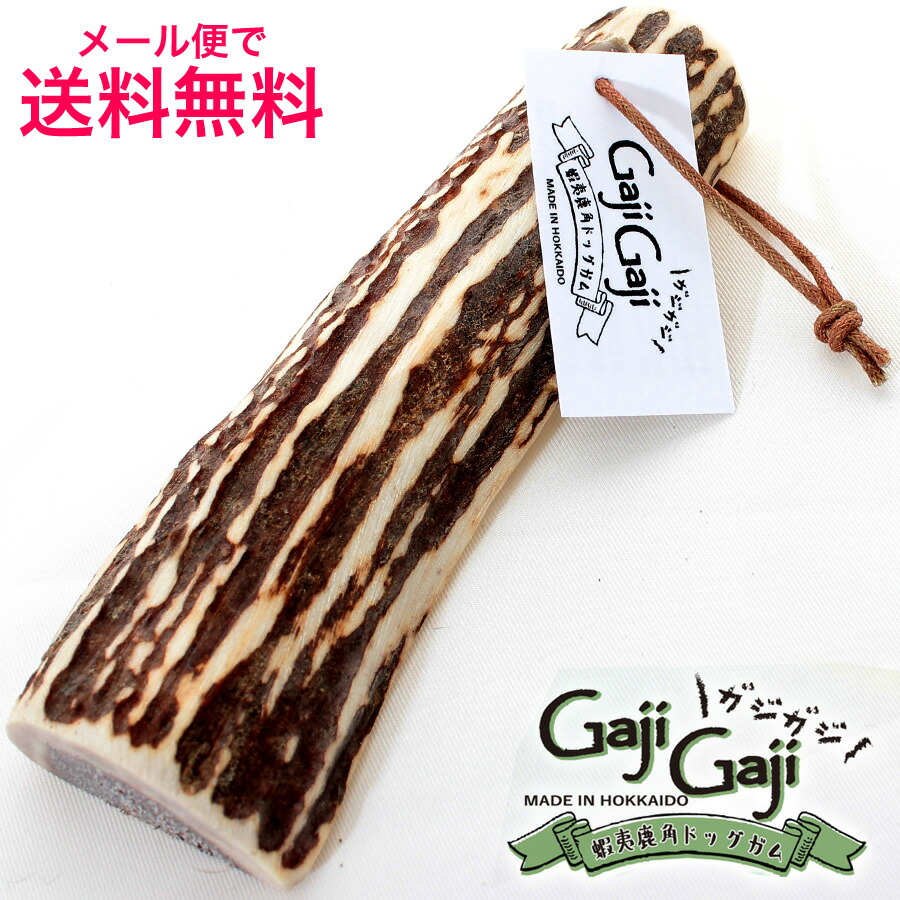 楽天市場】【中型犬用 1本】蝦夷鹿角ドッグガム GajiGajiガジガジ