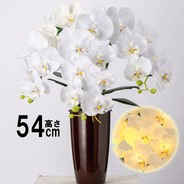 盆提灯 ルミナス 胡蝶蘭」の人気商品一覧 | 安い商品を通販サイトから