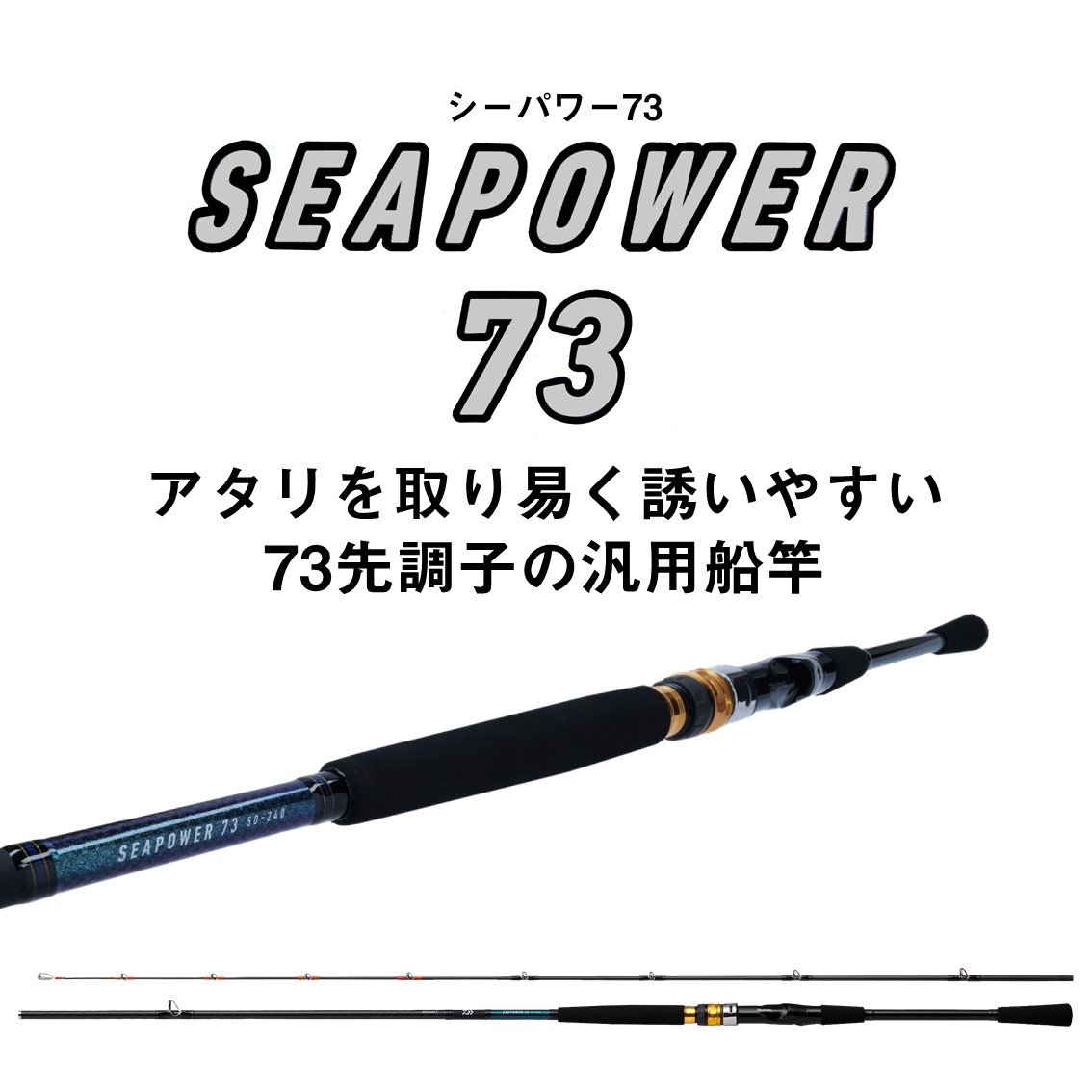 楽天市場】ダイワ シーパワー 73 80-240・N (船竿) : フィッシング遊