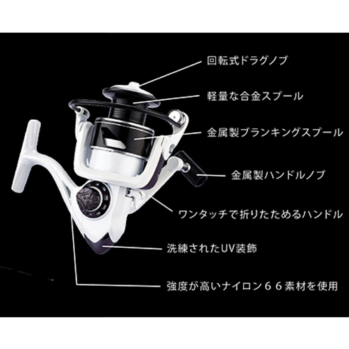 楽天市場】【3/11まで 限定クーポン配布中！エントリーでポイント最大