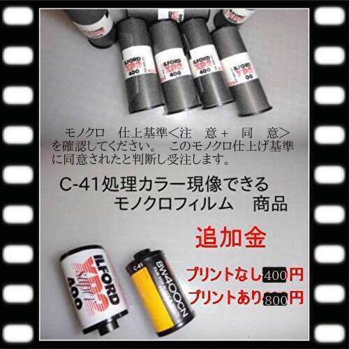 楽天市場】中判カメラ ブローニー120 カラー フィルム 現像 L版 各1枚