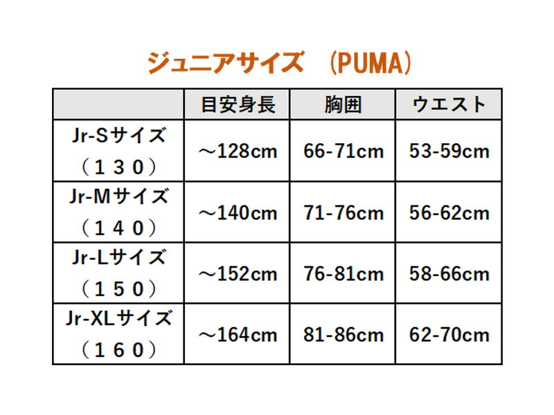 楽天市場】【 新ユニフォーム 25/26 】プーマ マンチェスターシティ
