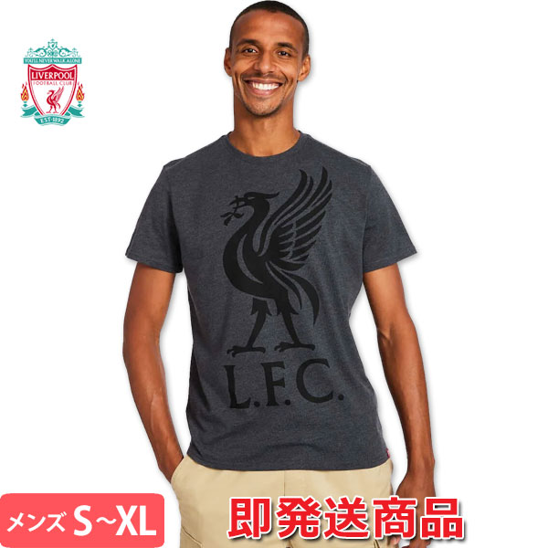 楽天市場】リバプール Tシャツ リヴァプール Liverbird Tee