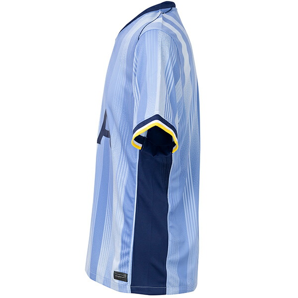 楽天市場】【スピード出荷】ナイキ 24-25 THFC トッテナムFC #7