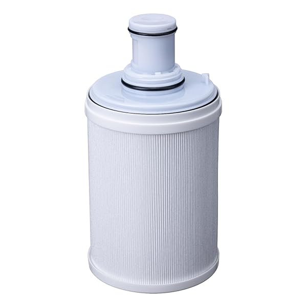 楽天市場】アムウェイ espring カートリッジの通販