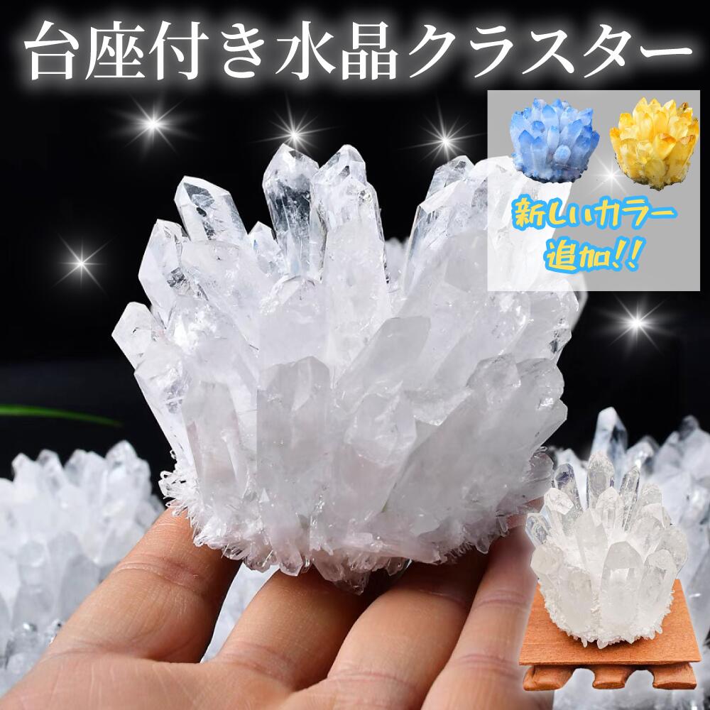 楽天市場】＼超トク開催中!最大20%OFFクーポン／ 【再入荷・早い者勝ち