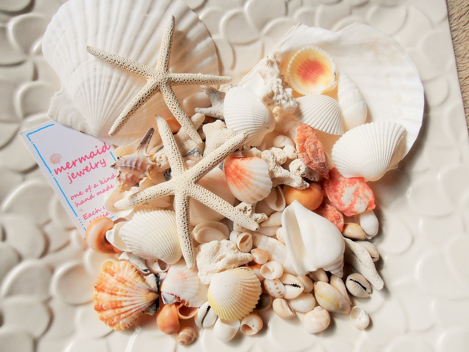 楽天市場】貝殻（インテリア小物・置物｜インテリア・寝具・収納）の通販