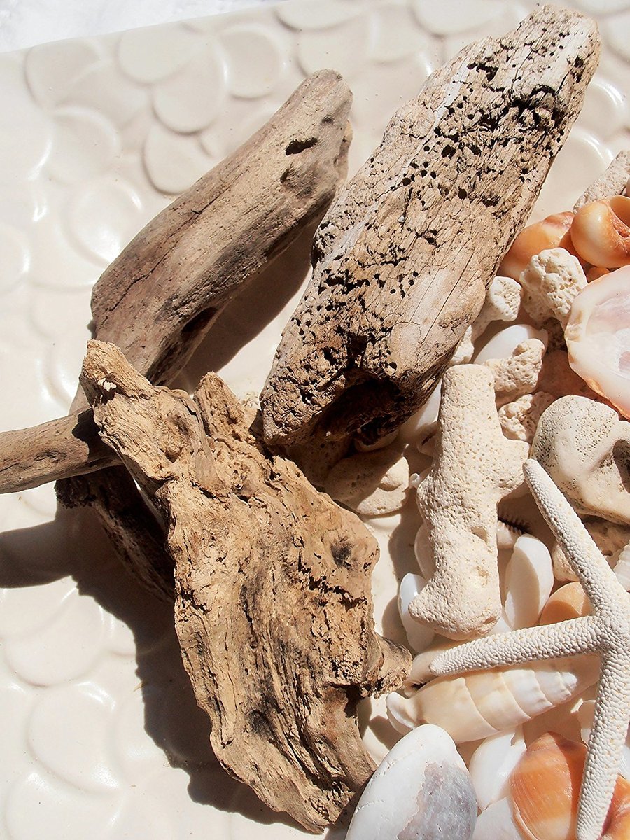 楽天市場】天然素材 流木と貝殻セット ハワイアンインテリア 工作