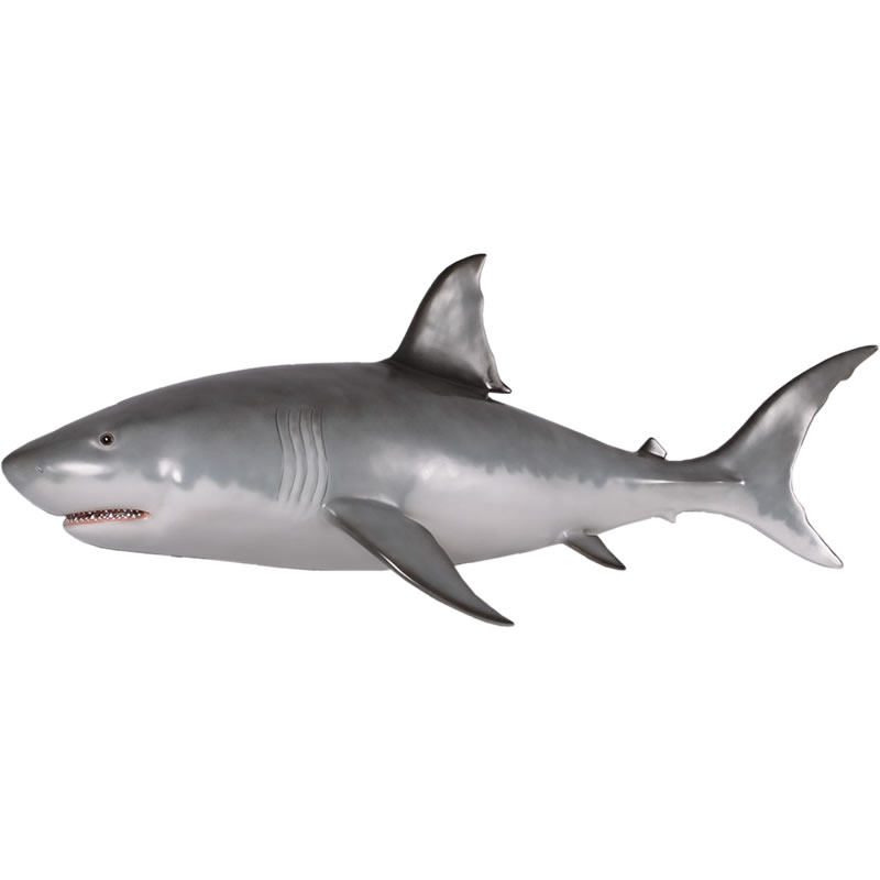 楽天市場】FRPアニマルオブジェ 壁掛けホホジロザメ置物 動物 魚 鮫