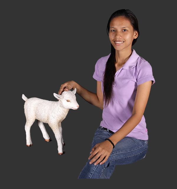 楽天市場】FRPアニマルオブジェ ヤギの赤ん坊【即納可】置物 動物 山羊