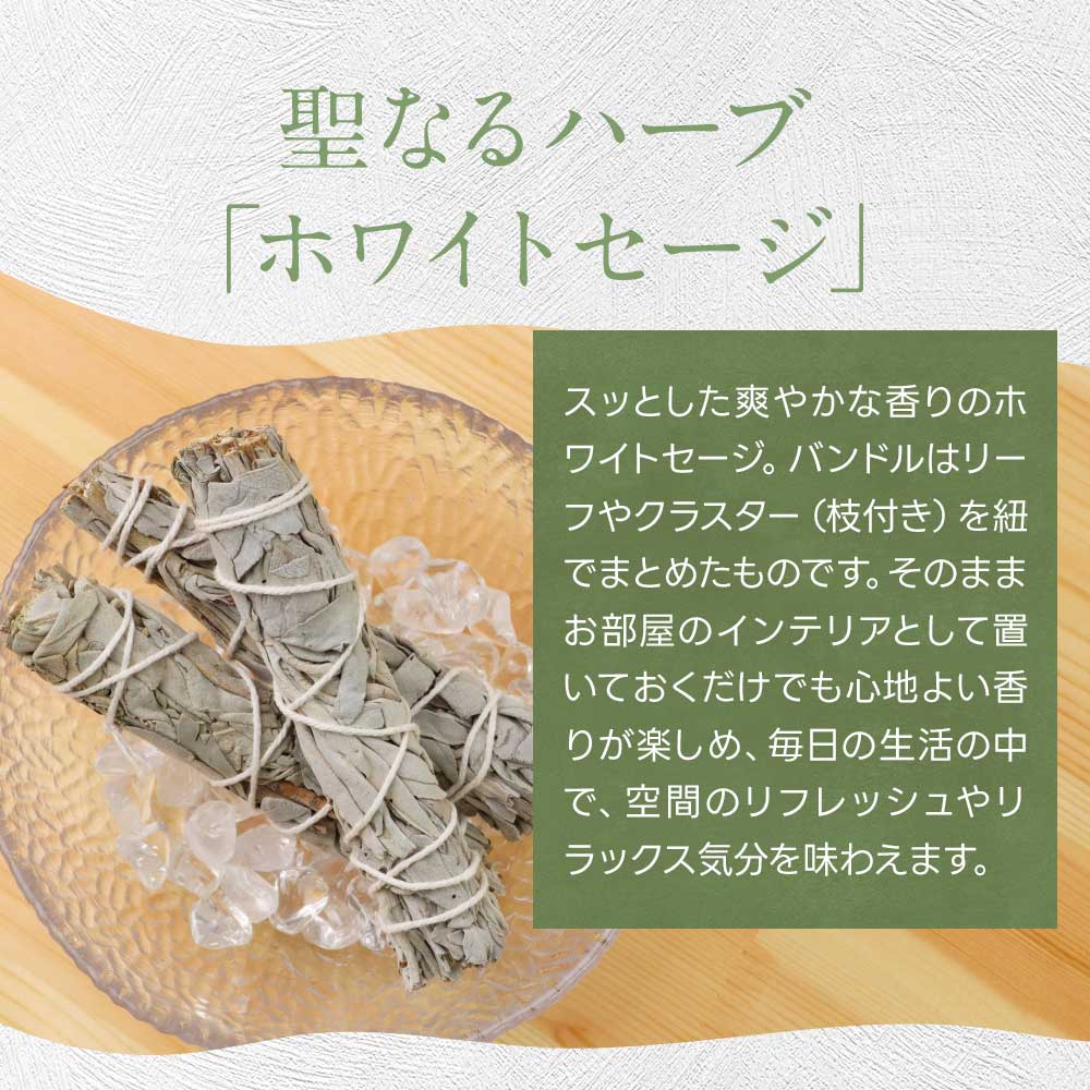 楽天市場】【楽天スーパーSALE☆3本 5本が10％OFF】ホワイトセージ