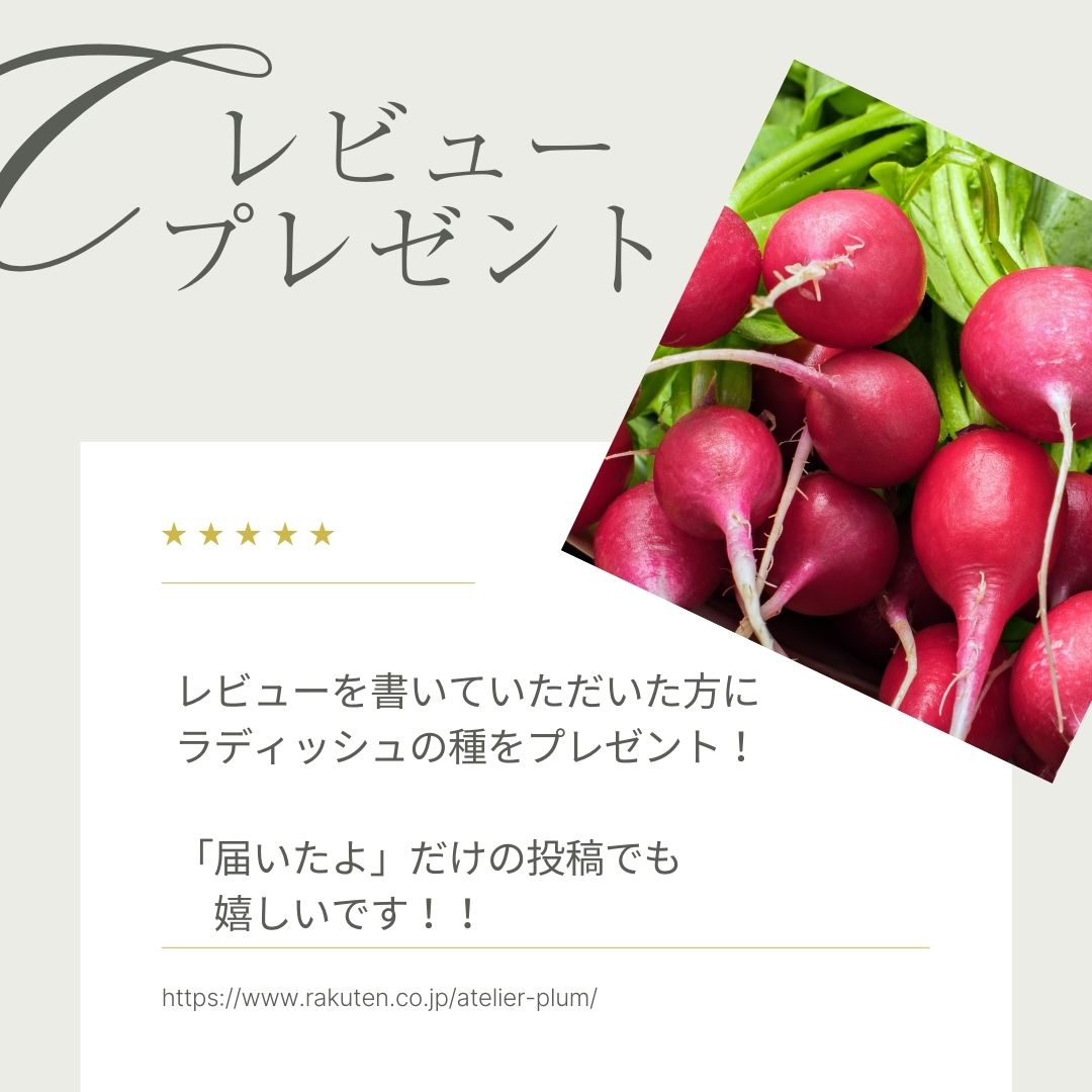 楽天市場】【有効期限2026年9月末】ブロッコリー 種 おはよう 【コート