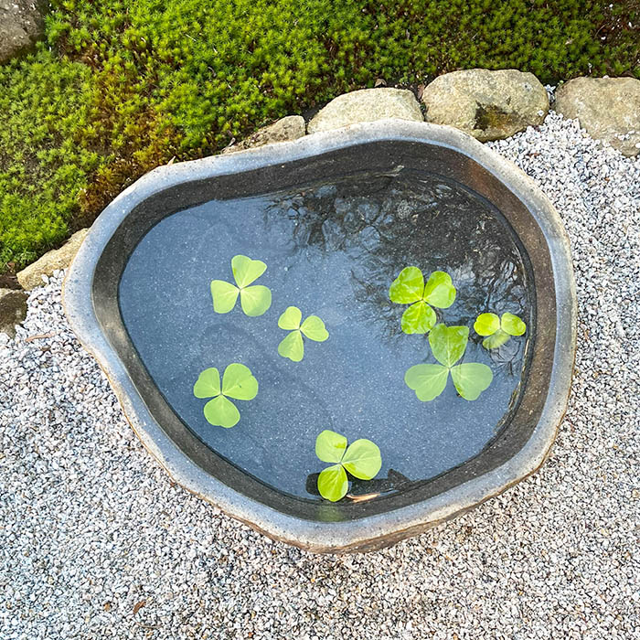 楽天市場】水鉢 石 庭園 和風 （49.5×42×15cm 23.5kg）No.20【 睡蓮鉢