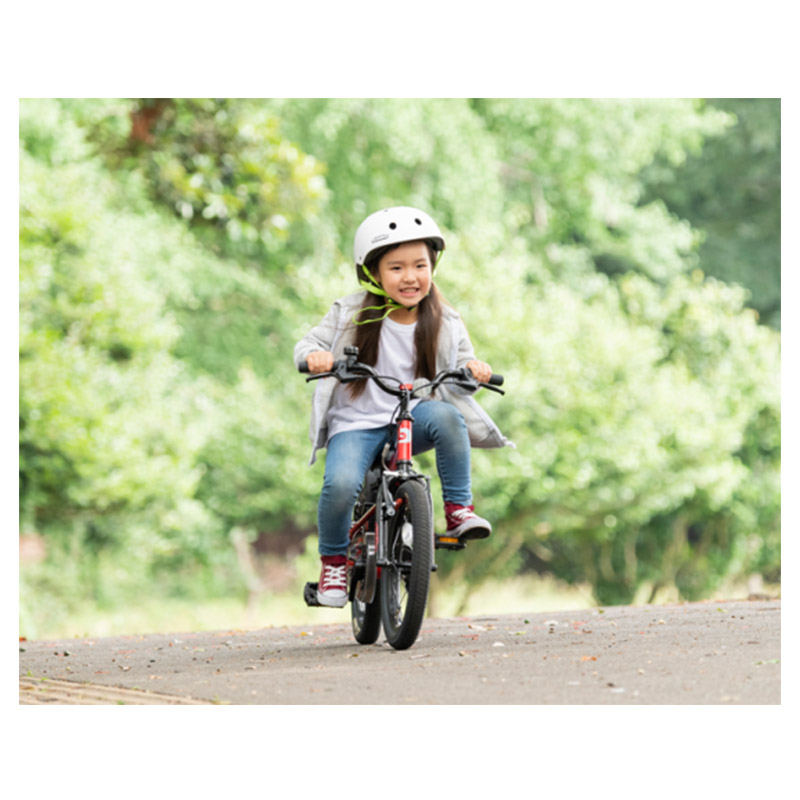 楽天市場】アイデス ides D-bike Master+ 18 ディーバイクマスター