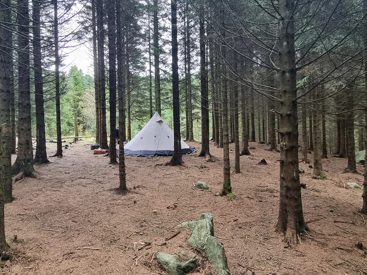 楽天市場】ノルテント 6人 キャンプ テント ラボ6 PC アウトドア