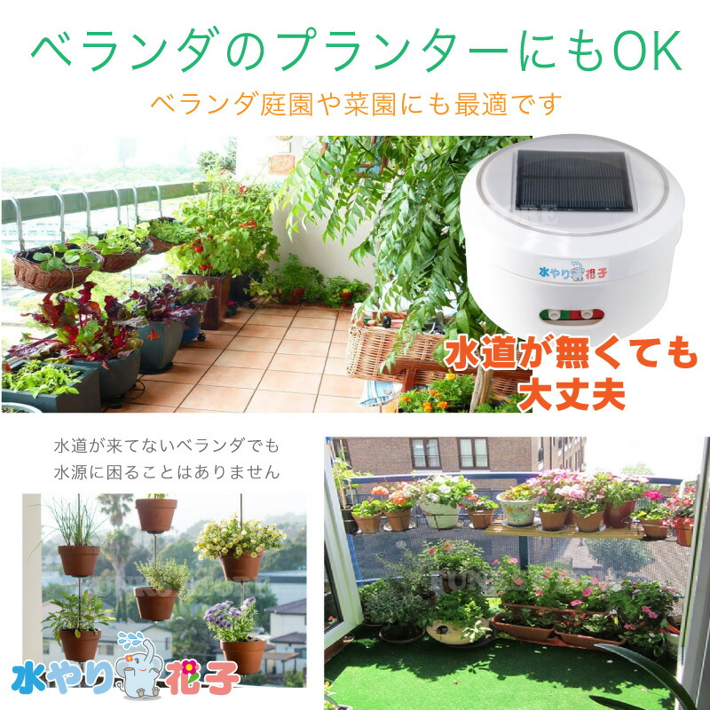楽天市場】【電源・水道不要】【1年保証】ソーラー 自動 灌水器 水やり