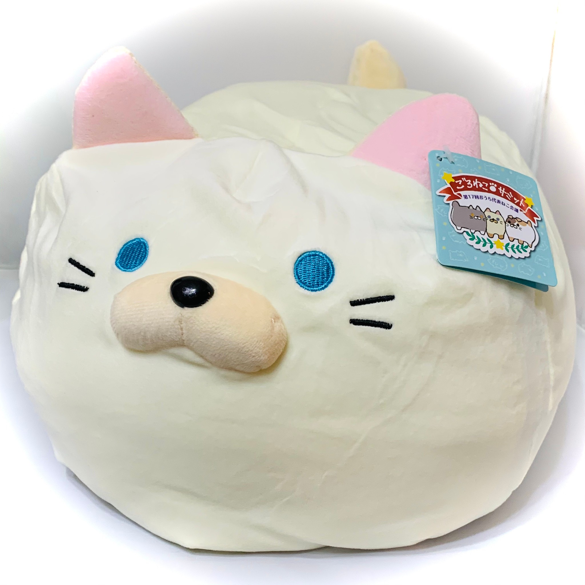 楽天市場】ごろねこサミット 第17回 おうち代表ねこ会議 [ヨシノ] 単品