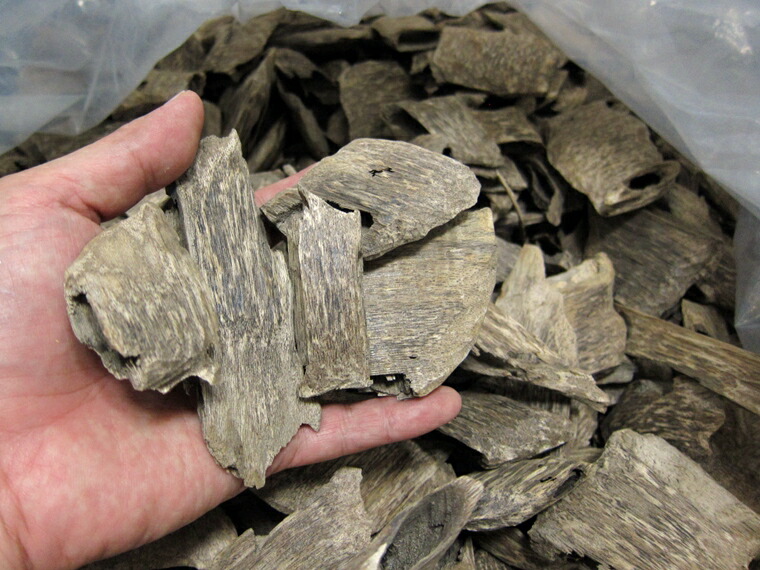 楽天市場】訳あり 沈香 ベトナム産 栽培沈香【中高ランク】100g