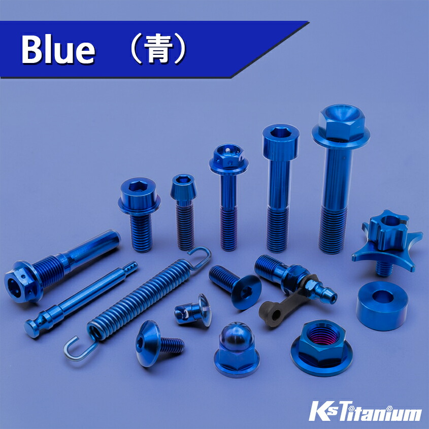 楽天市場】64チタン製 カウルボルト M6×16 （09mm×06mm段付き） P1.0