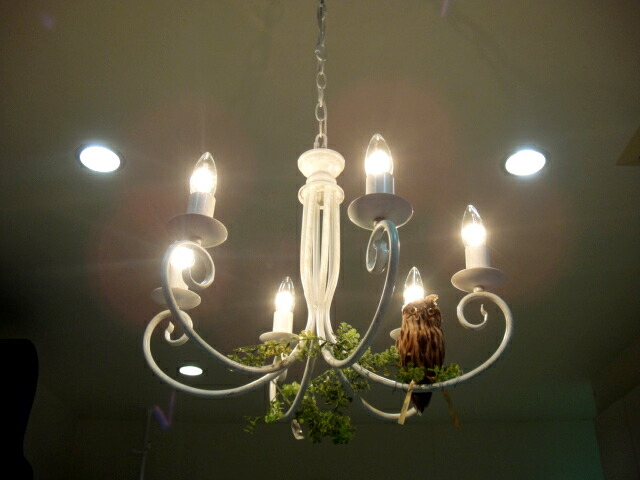 楽天市場】最安値挑戦中☆送料無料！☆シャンデリア アンティーク 6灯