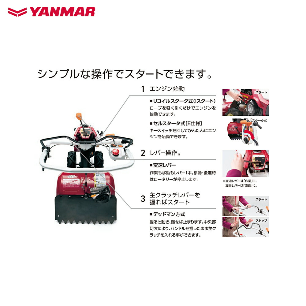 楽天市場】最大100%ポイントバック 確率2分の1！条件達成でチャンス
