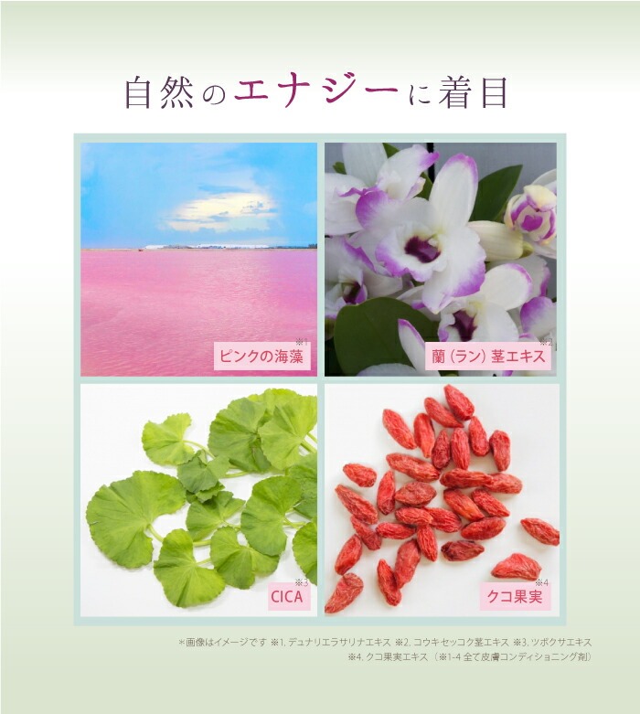 楽天市場】期間限定価格 サイムダン プレミアム ステム モイスチャー