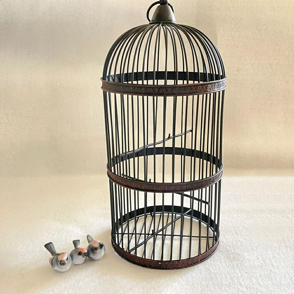 楽天市場】スーパーセール10％OFF 3/11終了 【在庫限り】【人気商品