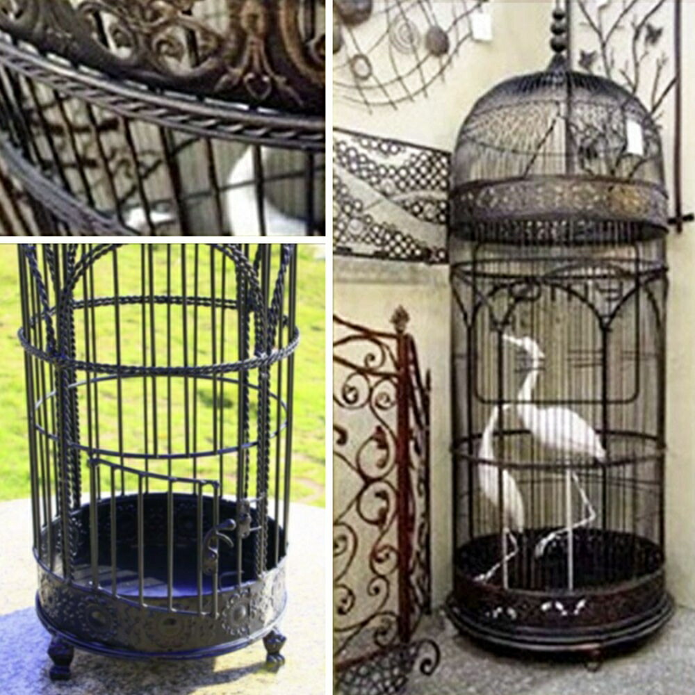 楽天市場】スーパーセール10％OFF 3/11終了 【在庫限り】【ランキング1