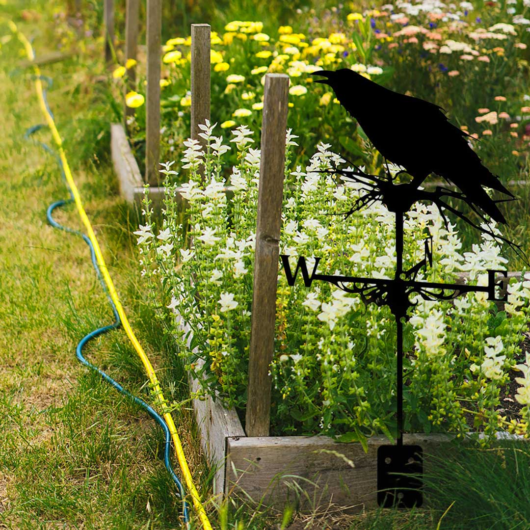 楽天市場】スーパーセール10％OFF 3/11終了 【人気商品】【在庫限り