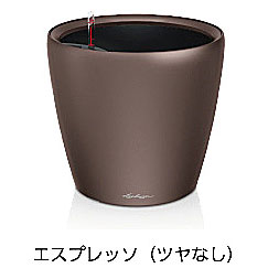 楽天市場】クラシコ 43 レチューザの通販