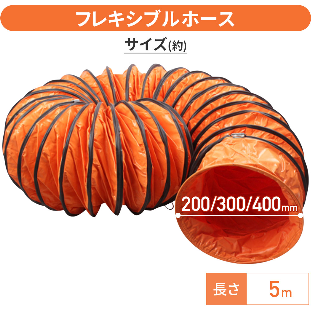 楽天市場】【 半額 & 300円 】本日