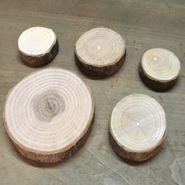 楽天市場】丸太の輪切り 皮付き 5個セット（直径約7センチ以下×5