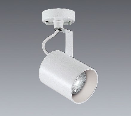 ENDO LEDスポットライト ERS5515B 8台 ERS4013H アウトドアスポットライト ENDO(遠藤照明) LEDZランプJDR×1