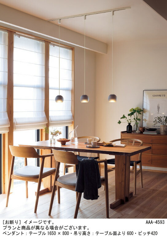 楽天市場】パナソニック 天井照明器具 ペンダントライト 配線ダクト