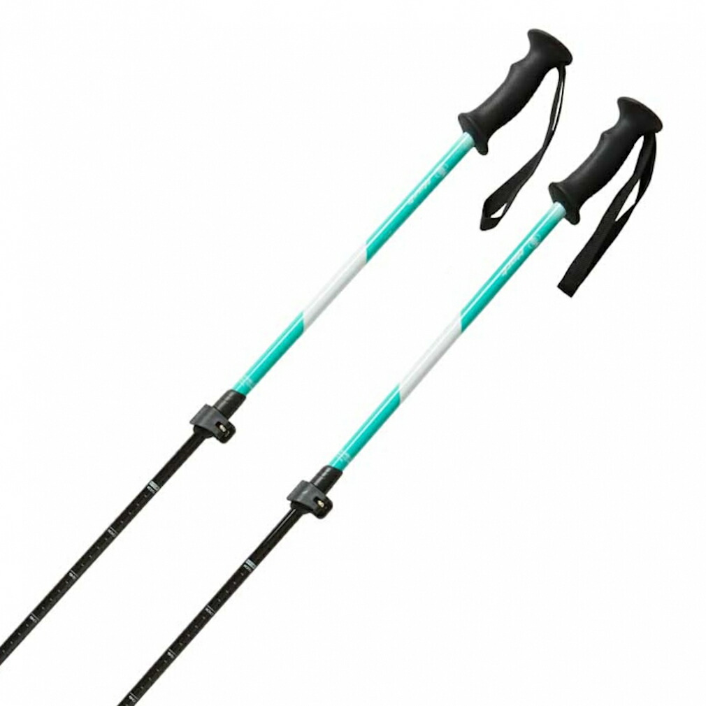 楽天市場】子供（ストック｜スキー用品）：ウィンタースポーツ